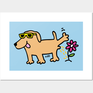 Labrador dog wearing glasses Posters and Art